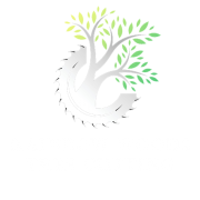 (c) Rainbowwoodscampgrounds.com